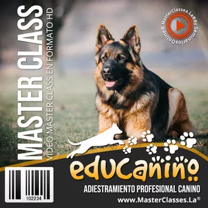 Curso Educanino Adiestramiento Canino