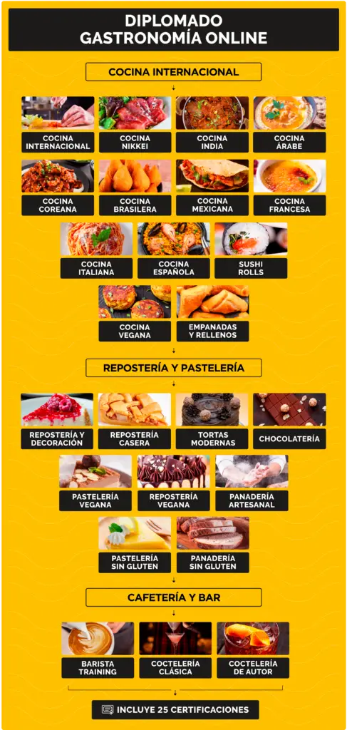 Contenido del Diplomado en Gastronomía Internacional